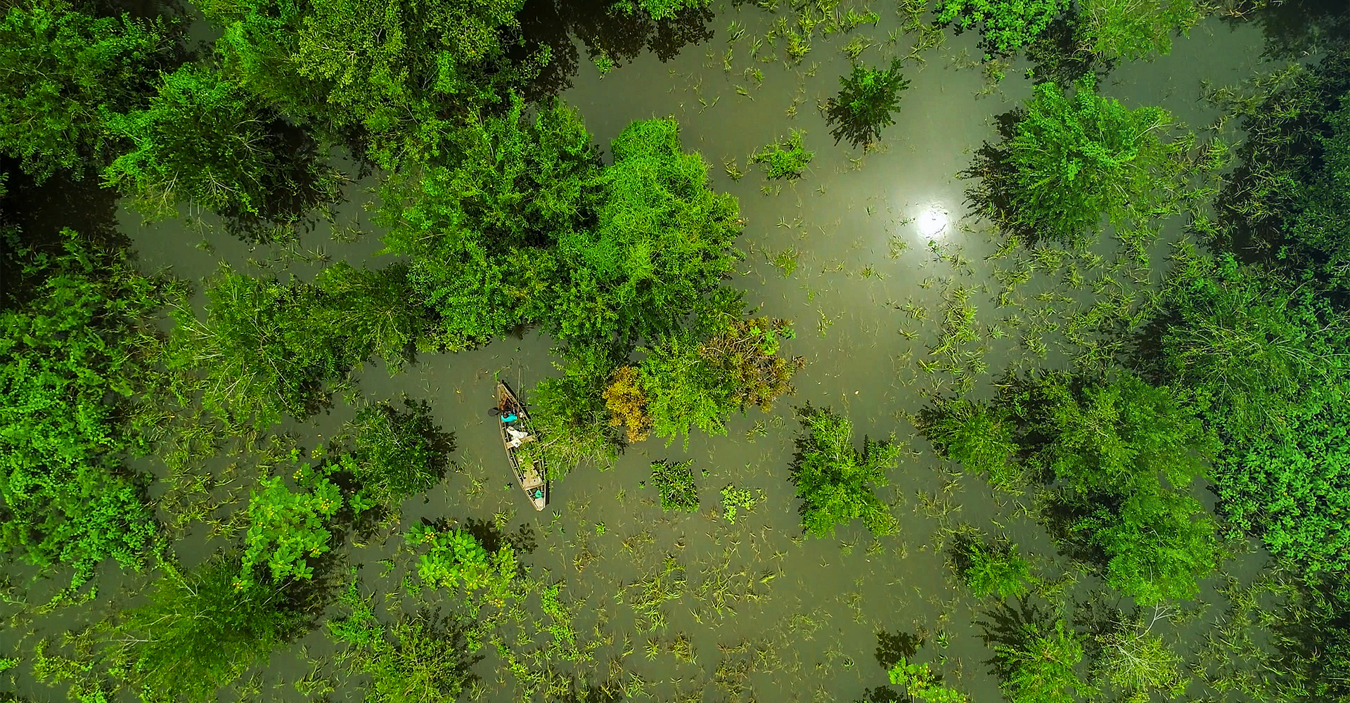 Aerial Cinematography